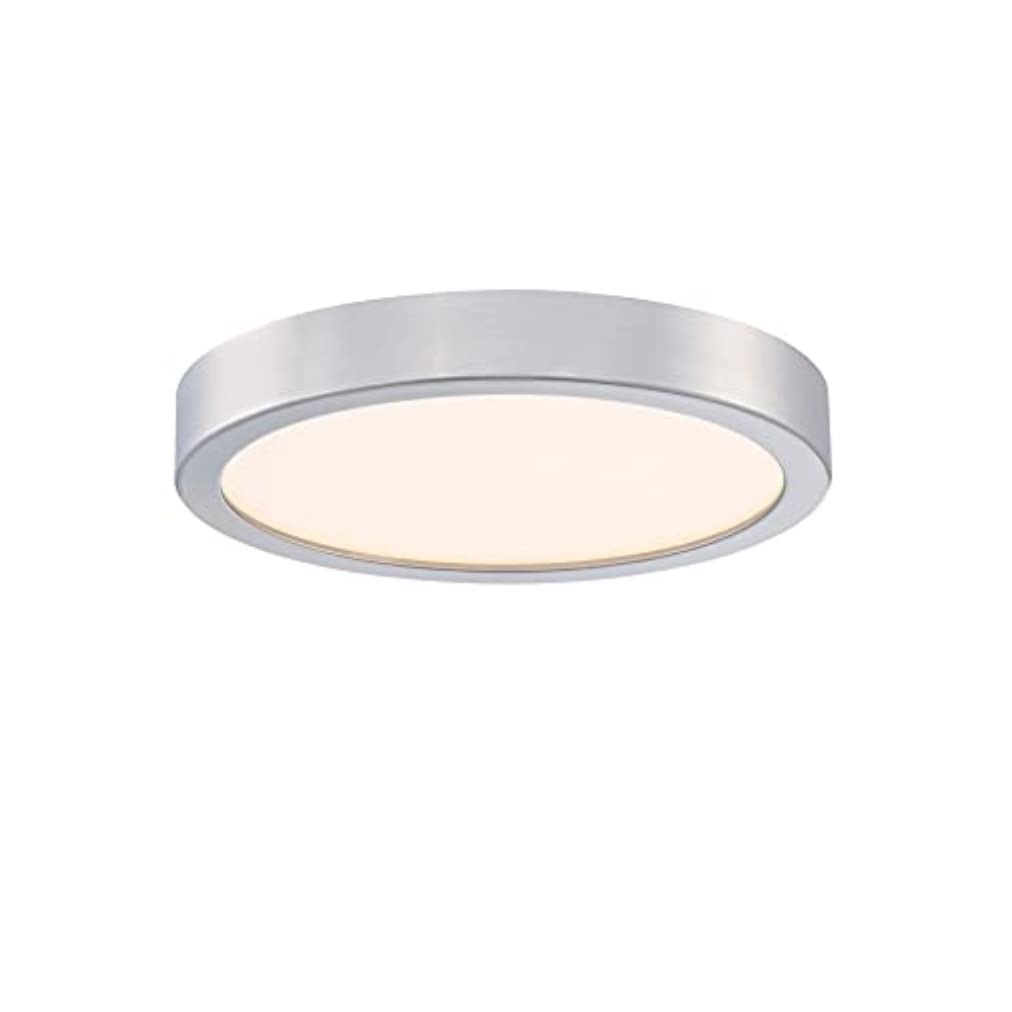 Westinghouse Lighting 6119840 Traditional One-Light, 21 cm 18 Watt LED Indoor Flush Mount Fixture, Brushed Nickel Finish, Acrylic Shade