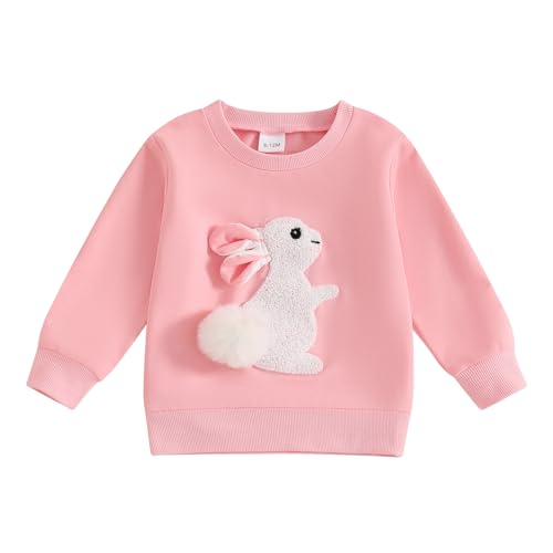 Dcohmch Toddler Girl Boy Easter Outfit Bunny Embroidered Shirt Sweatshirt Long Sleeve Pullovers Baby Spring Clothes