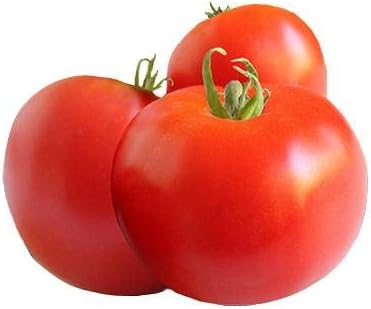 Miniatura 2 de Semillas de tomate Glacier Heirloom - Sin OMG