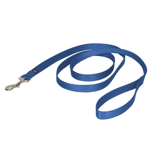 PetSafe Nylon Leash - Strong Nylon for Everyday Walks - Durable Pet Leash with Quick Attach Clip - Comfortable Soft Grip - 6 Feet - Royal Blue