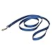 PetSafe Nylon Leash, 3/4" x 6', Royal Blue