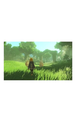La Mejor Selección de Hyrule warriors los mejores 5. 6 Imagen adicional