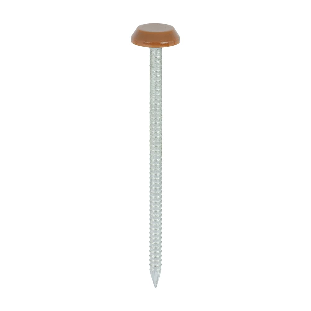 Pointes polymères Timco en acier inoxydable A4 brun argile 65mm de fixation extérieure