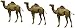 Preiser HO Scale Camels - 1 Hump 3/