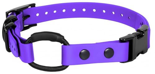 Image of 3 /4 inch e-Collar Bungee Collar Strap, Waterproof (Purple, 3 /4 inch)