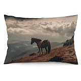 LYHVSFJW Throw Pillow Cover Soft Plush Horse Grazing on The Mountain Throw Pillow Case 12 'x20 Premium Cushion for Farmhouse Outdoor Modern Boho Pillow Covers
