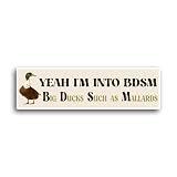 Yeah I M Into Bdsm Sticker Big Ducks Such as Mallards Funny Gen Z Meme Unique Bumper Car Vinyl Die Cut Sticker for Car Laptop Phone Water Bottle Guitar Helmet Gift Idea Merchandise Decor Decal Stuff