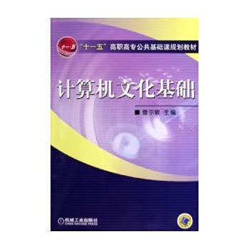 Amazon.com: Computer Culture: 9787111167457: Books