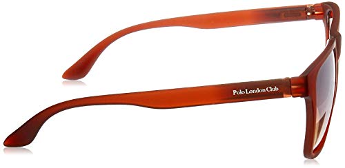 Óculos de Sol Polo London Club lente com Proteção UVA/UVB - Kit acompanha com estojo e flanela, Clás