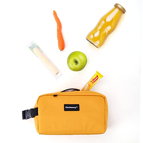 Cerbonny Small Cooler Bag Freezable Lunch Bag for Work School Travel,Small Insulated Bag for Adults/Kids,Freezer Lunch Bags,Mini Lunch Bag Fit for Yogurt