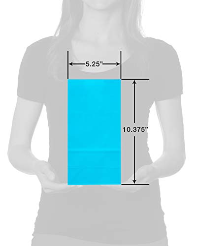 American Greetings 10" Small All Occasion Goodie Gift Bags For Pride Month, Rainbow Solids (12-Count) #TOP4