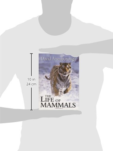 The Life Of Mammals #TOP1