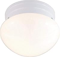 Algopix Similar Product 5 - NUVO SF77060 One Light Mushroom Flush