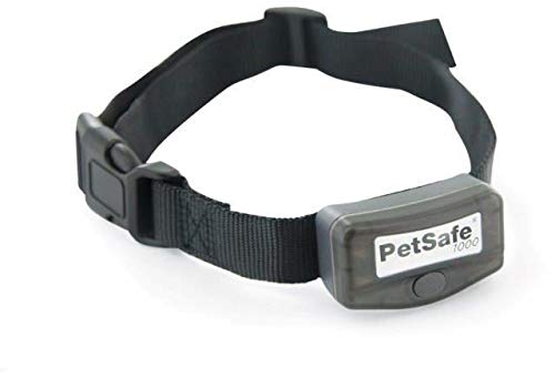 PetSafeBig Dog Deluxe Remote Trainer