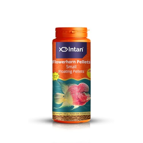 Image of Intan Flower Horn Pellets (Small 1.5mm Floating) | 160gm - Highly Nutritious Ornamental Fish Food for Flowerhorn & Kamfa | Growel Feeds