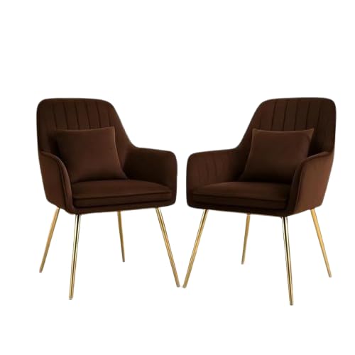 Image of Toxigo Velvet Office and Garden Area Outdoor Chairs | Cushion Seat Chair with Pillows for Modern Contemporary Upholstered with Polished Rosegold Metal Designer Piece | Set of 2 (Dark Brown)