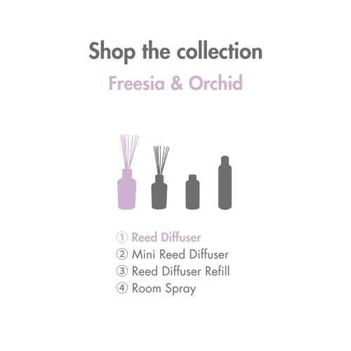 Ashleigh & Burwood Midnight Oud Fragrance Lamp Oil – 500 ml Premium Catalytic Air-Purifying Scent - Exotic Woody Scent with Citrus, Patchouli, Vanilla, and Musk