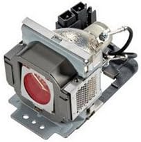 Technical Precision Replacement for Light Bulb/LAMP 52161-G Projector TV Lamp Bulb