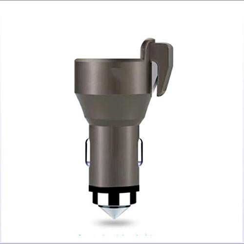 Intelligente Dual USB