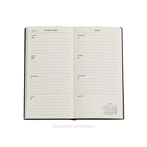 Paperblanks Arabica 12 Month Diaries 2023, Blue, Horizontal - Slim (180 x 95) 160p - Image 4