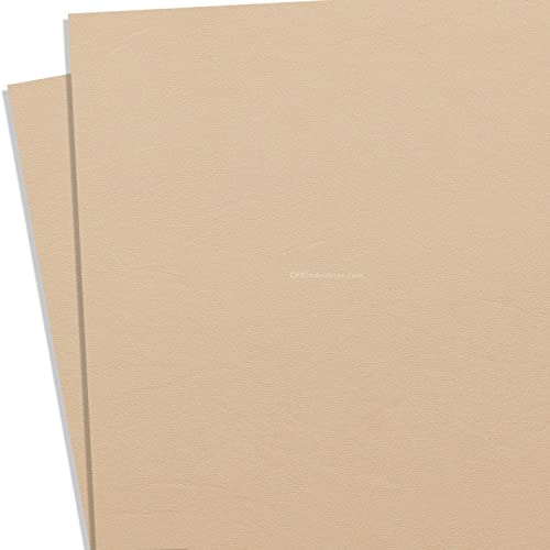 KYDEX Thermoform Sheet - (P1 Texture) - (.093 Thickness) - (8in x 12in) - (Desert Tan) - (2 Sheets) - DIY Holster Making, Airsoft Armor, Cosplay Uniforms, Keel Guards