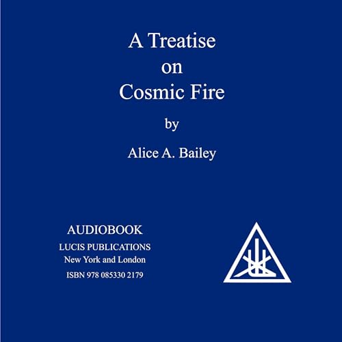 Amazon.com: Externalisation of the Hierarchy (Audible Audio