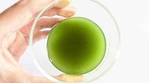 100%ORGANICPOWDER 有機柿の葉パウダー100g