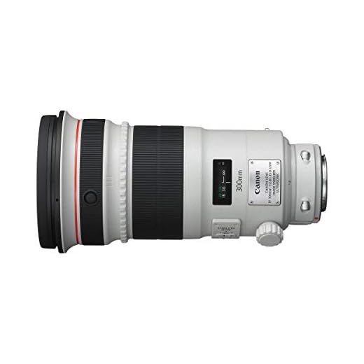 Canon 300mm F2.8 L II USM Lens