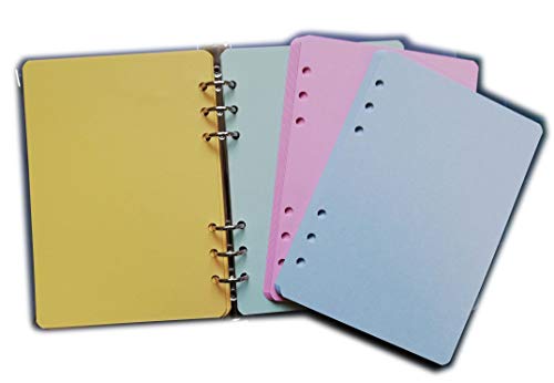 Recambio para agenda organizadora, formato A5, con 6 anillas, 14 x 20 cm, color 100 Cartoncini In 4 Colori A5 6 Fori Formato A5 14x20cm - Ricambio ricarica 6 anelli