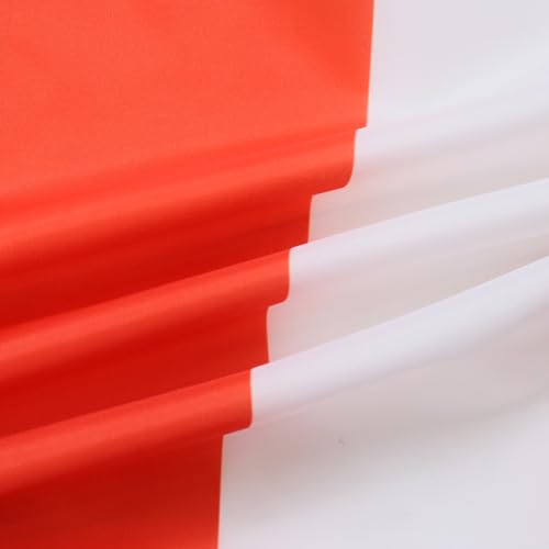 AZ FLAG - Denmark Flag - 2x3 Ft - 100D Polyester Danish Banner with Two Metal Grommets - Fade Resistant - Vivid Colors - 2' x 3' Feet - 90x60 Cm