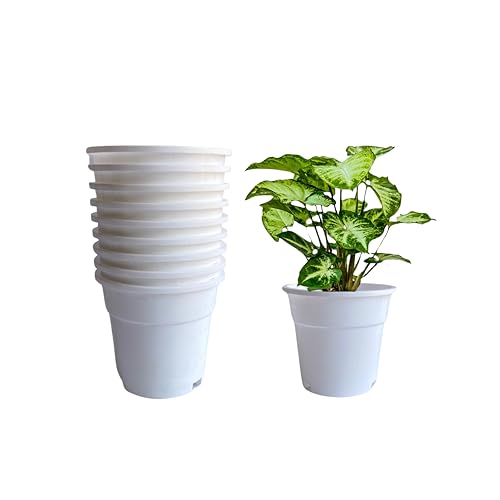 Image of Indian Gardens - 4 inch Indoor (Pack of 10) Plastic Small Colour pots | Plastic Plant Pot for Terrace Garden (White)