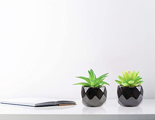 Canirologas 4pcs Succulents Artificial Plants in Pots Small Fake Plants Mini Artificial Greenery for Home Bathroom Desk Office Indoor Room Farmhouse Decorations