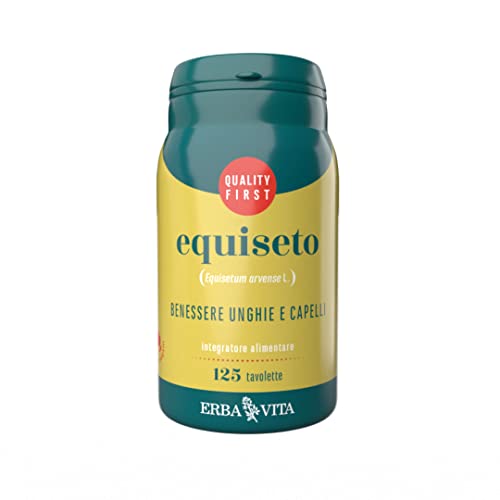 Equiseto
