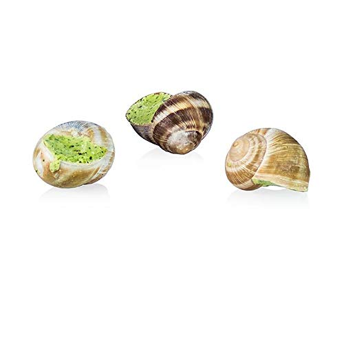 Weinbergschnecken (Helix Pomatia), 48 Stück, 440g, Francaise de Gastronomie, TK, 440g