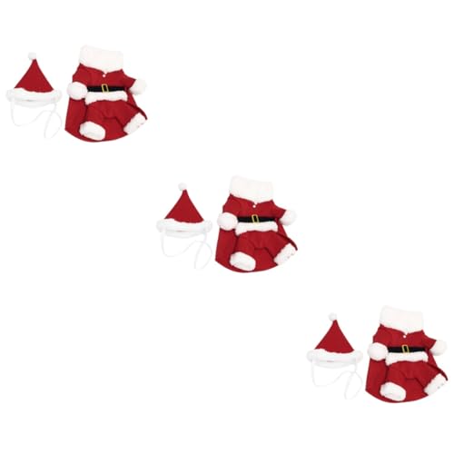 Robe de noël pour chien pour photo de famille et fête hiver