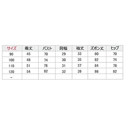 スノーボードウェア ダウンジャケット キッズ 上下セット 子