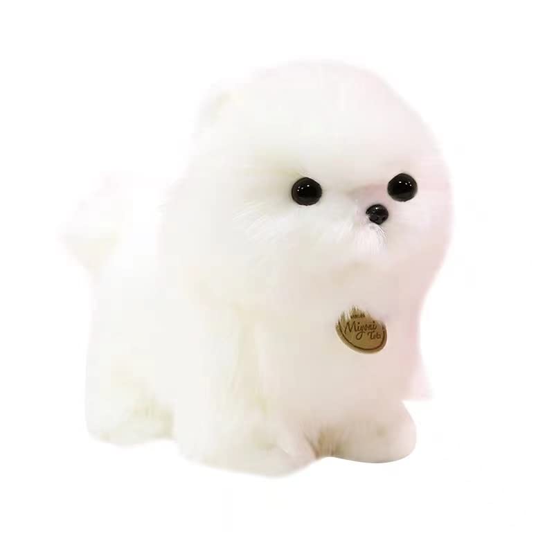 Amazon.co.jp: ぬいぐるみ イヌ 人形 マルチーズ犬 (マルチーズ23cm