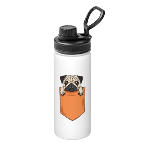 ʔ  pO X|[c{g  500ml @r ۉ{g }O{g ۉJbv ^tXR XeX{g EH[^[{g R[q[Jbv X|[c ^fM s