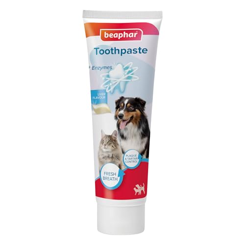 Beaphar - Liver Flavour Toothpaste with Enzymes - Dental Care for Cats & Dogs - Helps Control Plaque and Tartar and Freshen Breath - Supports Normal Gum Function Fluoride & Xylitol-Free - 100g Tube