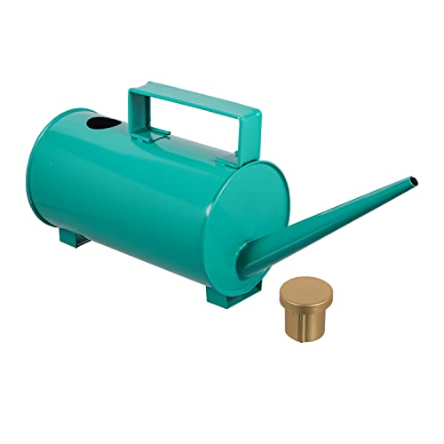 Klassic 2 Litre Metal Watering Can (Green) | Indoor Outdoor Watering Can | Watering Pot for Home Gardening, Plants Watering, Cylindrical in Shape