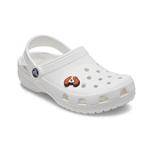 Image of Crocs Jibbitz Pet SHOE ACCESSORY| Jibbitz for Crocs, King Charles Cavalier, Small