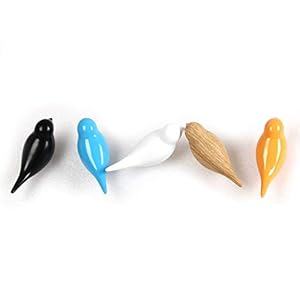 Designster resin bird coat hooks premium creative wall mounted birds decorative art decor hat towel bag hanger gift for homeliving room bedroom shop set of 5  urban country home decor