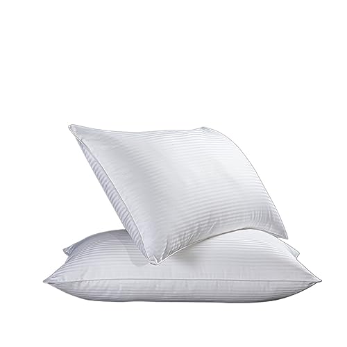 BXBFH Hotel Classic - Almohada de microfibra satinada de algodón para el hogar, 45 x 75 cm