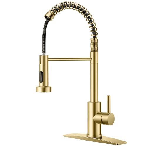 FORIOUS Gold Spring Pull-Out Faucet