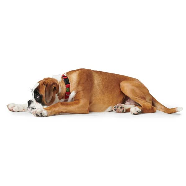 HUNTER VARIO BASIC Hundehalsung, Hundehalsband, robust, geschmeidig, Klickverschluss, M/1,5, orange