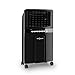 oneConcept Baltic – Enfriador de aire 3 en 1, ventilador, humidificador y enfriador de aire, 65 W, caudal de 360 m³/h, depósito de 6 litros, 2 acumuladores de frío, oscilación horizontal, negro