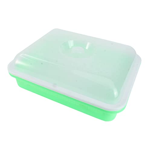 Toddmomy 1 Pieza Bandeja de plántulas con Tapa Bandeja de Plantas Interior y Placas Petri bandejas semilleros Bandeja para macetas de vivero Recipiente de Bandeja de Verduras Resina Green