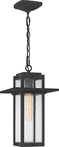 Quoizel Rdl1909Mb Randall Outdoor Pendant, 1-Light 100 Watts, Mottled Black #TOP7