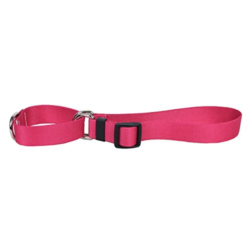 Yellow Dog Design Magenta Simple Solid Martingale Dog Collar, Large-1