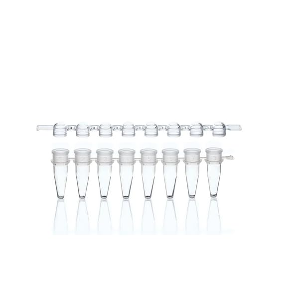 BRAND PCR 8-Strip Tube with Flat Cap, Polypropylene, Clear, 0.2 mL; 250/Pk
